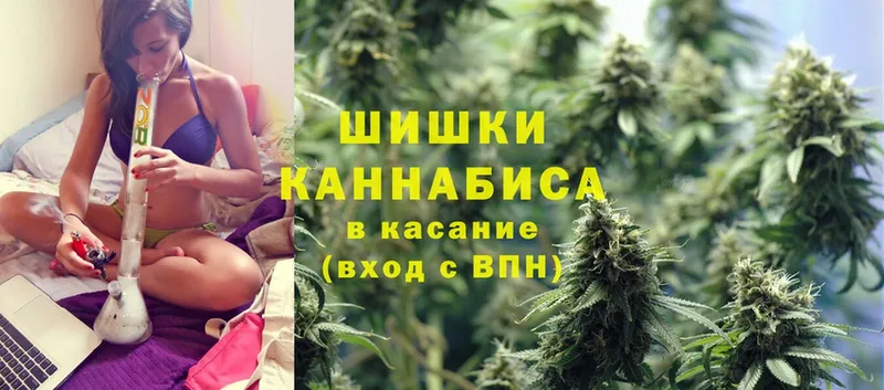 Марихуана OG Kush  Малая Вишера 